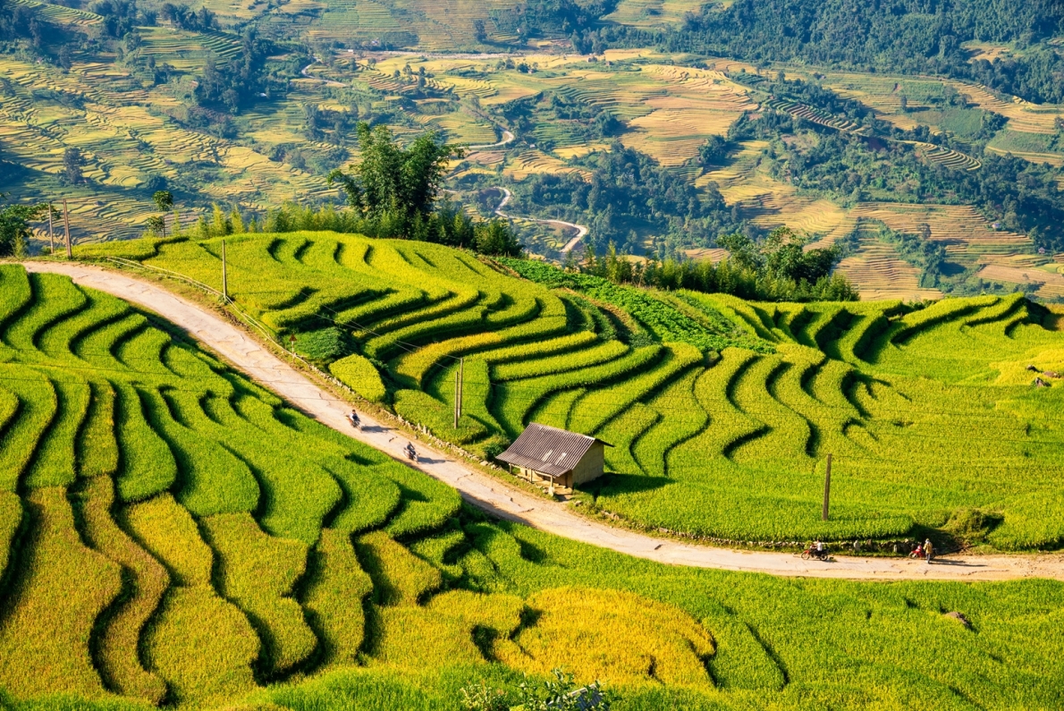 Y Ty Travel
