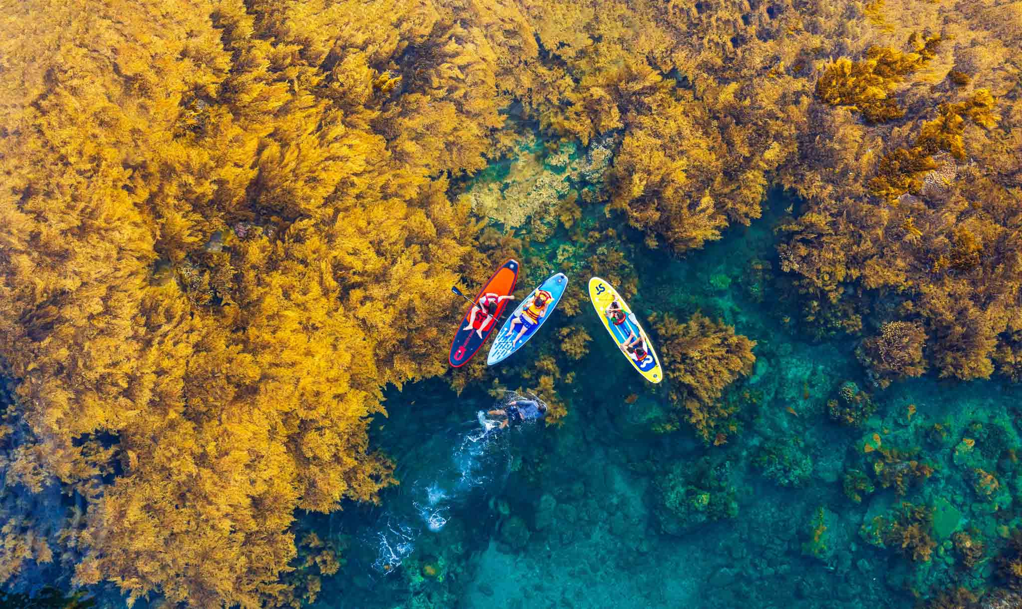 Best Things to Do in Vietnam